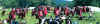 XVIII_Rome_on_the_move.jpg (179117 bytes)
